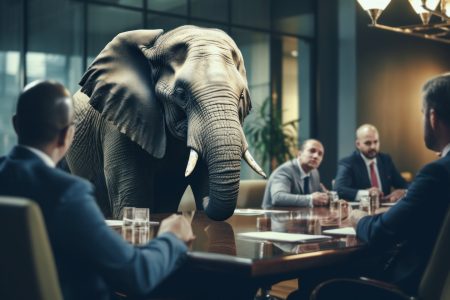 concept picture showing an elephant in the room