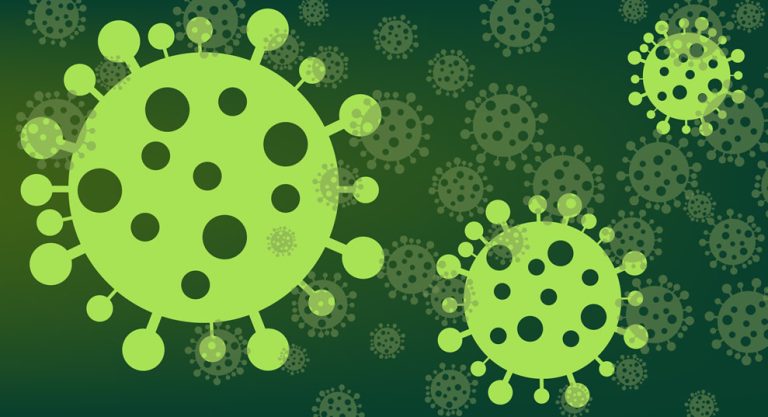 generic concept for henipaviruses