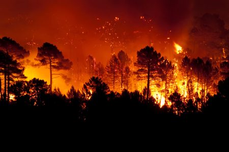 What is nature risk management and why is it a growing issue for organizations? A forest fire near Guadalajara (Spain)