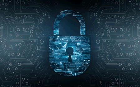 a digital padlock shows the need for ransomware payment guidance
