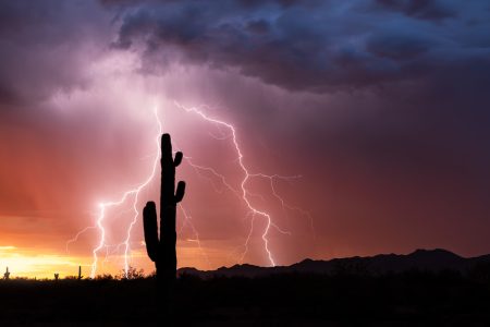 Global natural disaster economic losses significantly lower in the first half of 2024 Saguaro cactus silhouette with lightning at sunset in the Arizona desert.