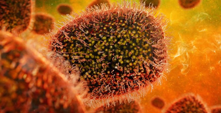 mpox virus - Resilience Forward mpox virus in the bloodstream