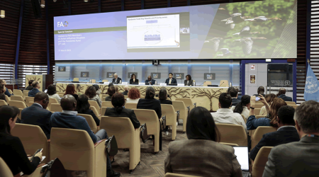 The world must take avian influenza seriously: and act now 17 March 2025, Rome, Italy. Update to FAO Members on Avian Influenza, and the Pandemic Fund. FAO Headquarters (Sheikh Zayed Centre). Photo credit: ©️FAO/Cristiano Minichiello. Editorial use only. Copyright ©️FAO
