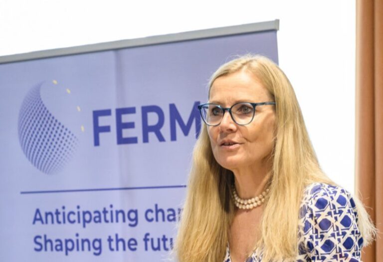 Charlotte Hedemark: source, FERMA - Resilience Forward Charlotte Hedemark: source, FERMA