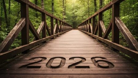 Into 2026 - a Forest Bridge Pathway Symbolizing New Opportunities.