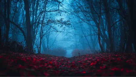The Internet of Stranger Things: managing IoT risks A misty forest path with blue fog and red foliage, creating an eerie atmosphere.
